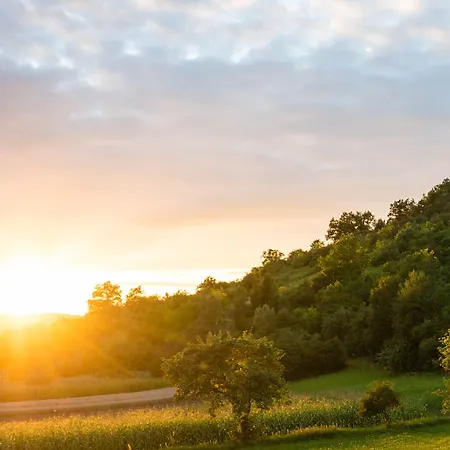 Gaestehaus Juhl ホテル Rangendingen